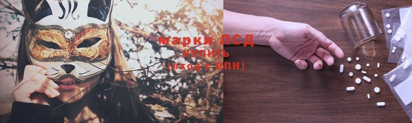прущие крисы Аркадак