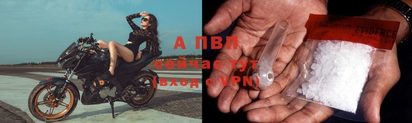 соль ск Арсеньев