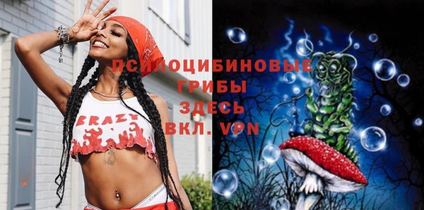 прущие крисы Аркадак