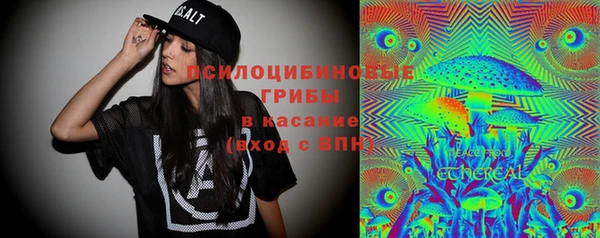 соль ск Арсеньев