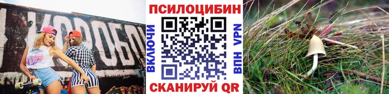 Галлюциногенные грибы Psilocybine cubensis  KRAKEN ТОР  Кулебаки 
